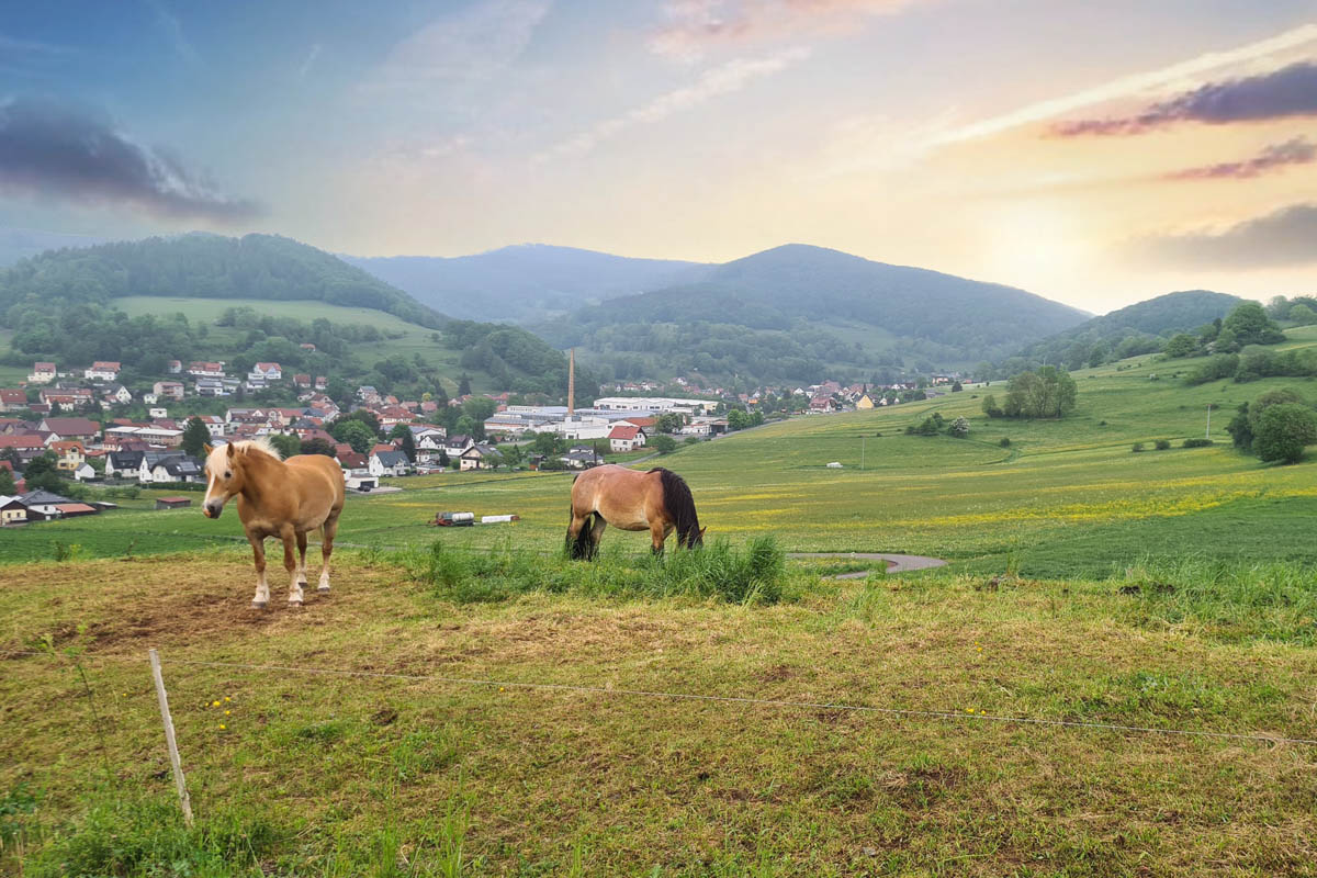 Webcams Floh-Seligenthal: Floh Selligenthal Webcam – GOQQKX