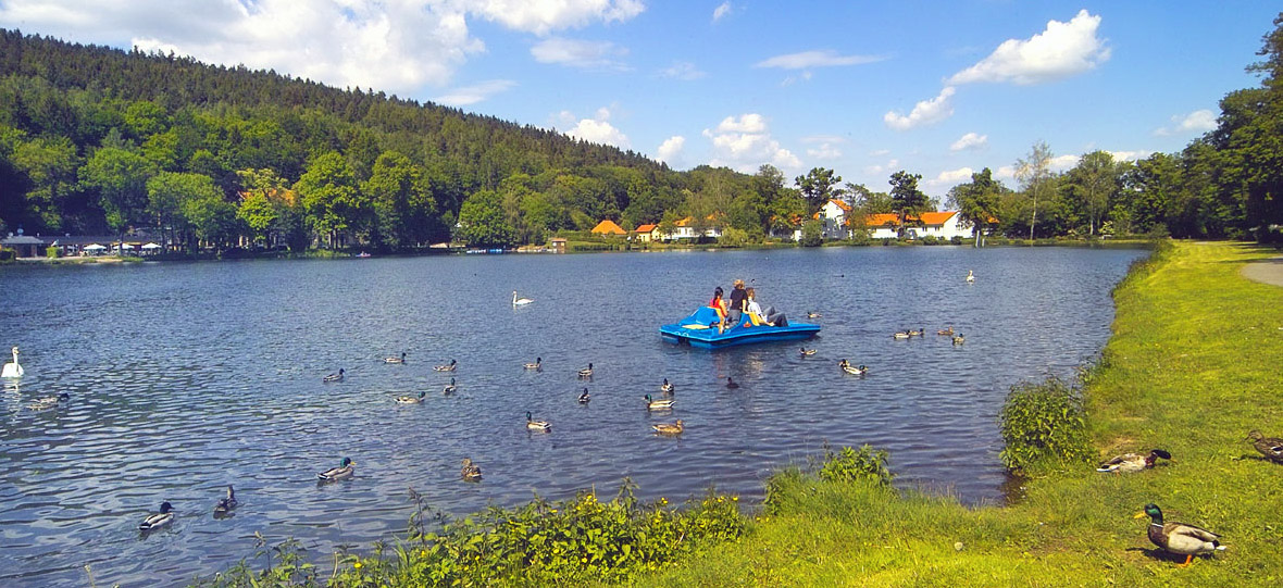 Hammerteich in Georgenthal