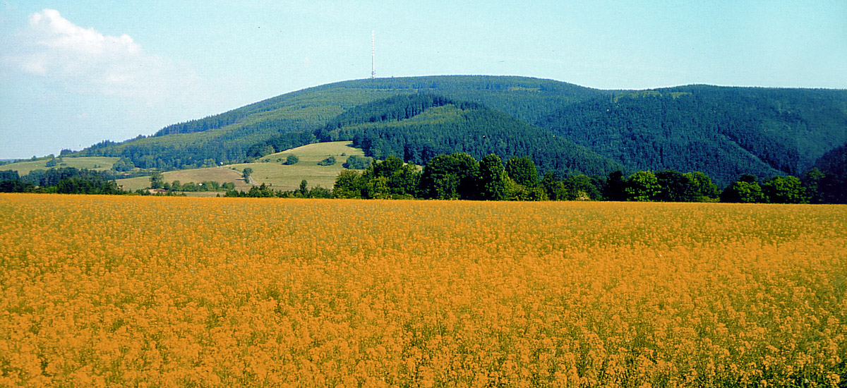 Berg Bleß mit Rapsfeld