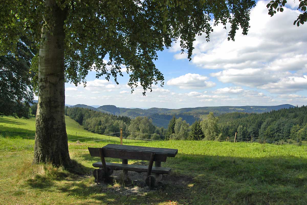 Landschaft bei Floh-Seligenthal
