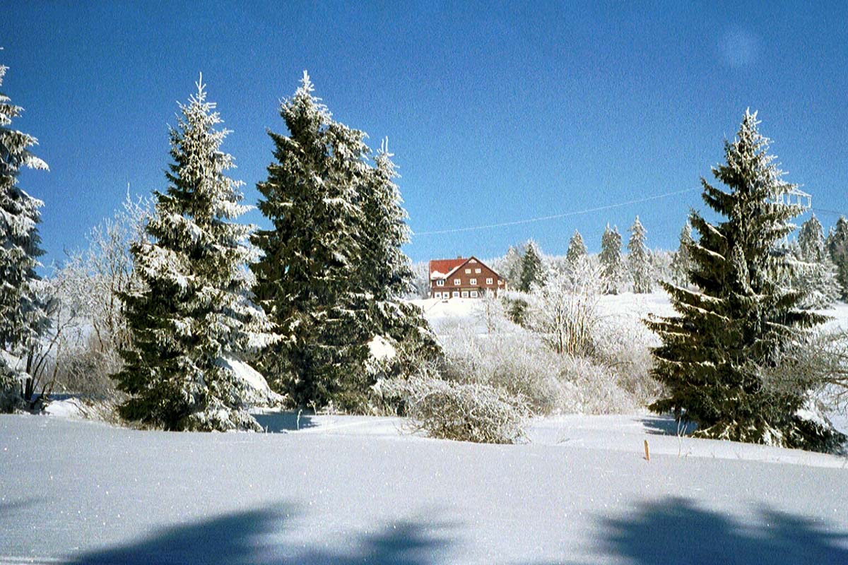 Berghotel Ebertswiese im Winter
