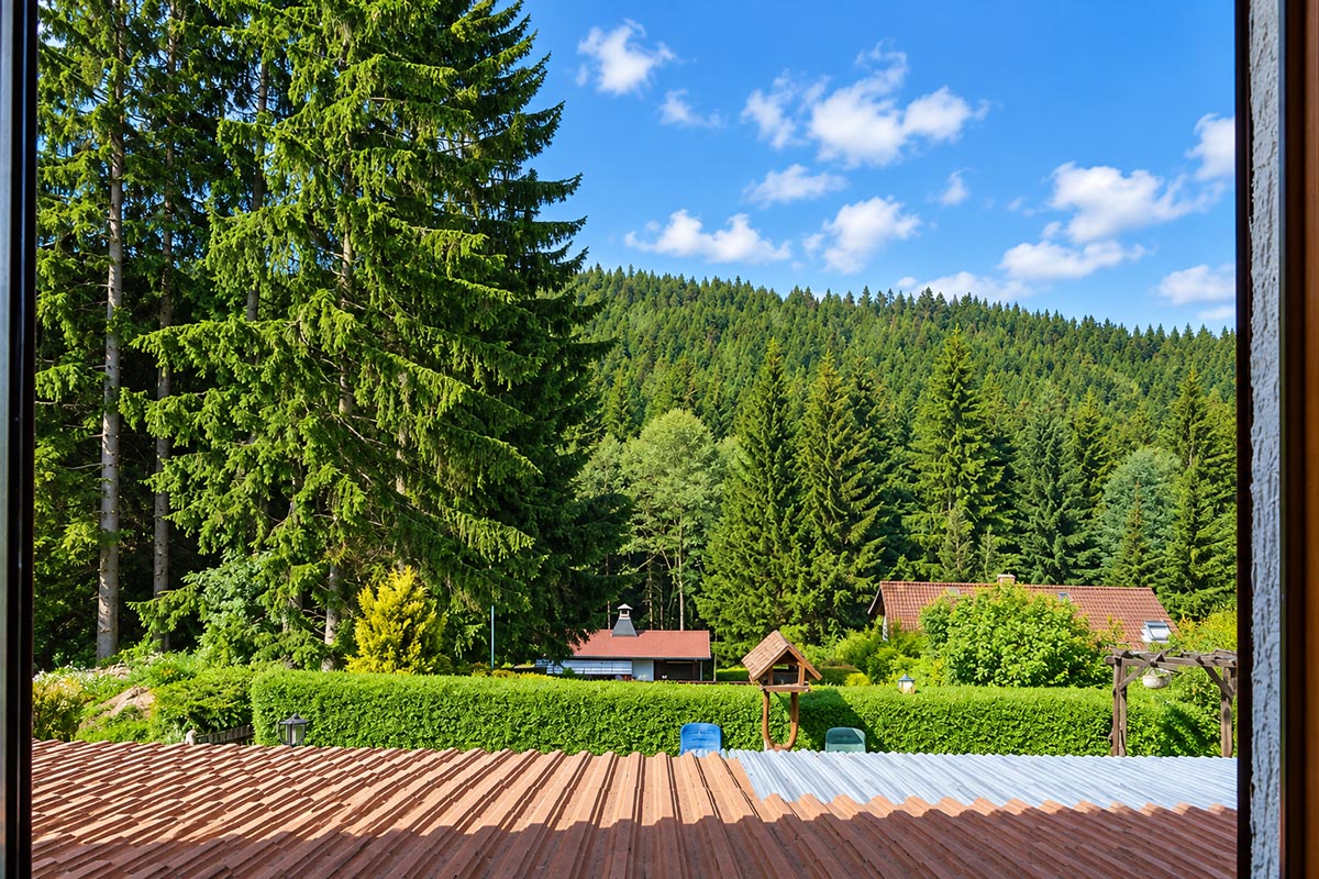 Blick aus dem Fenster