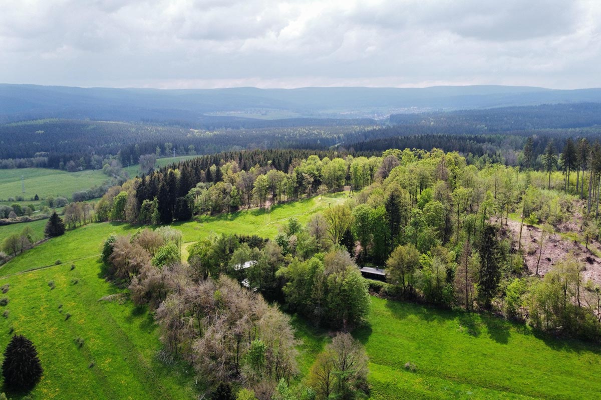Umgebung im Thüringer Wald