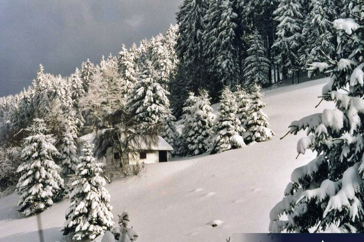 Jagdhütte im Winter