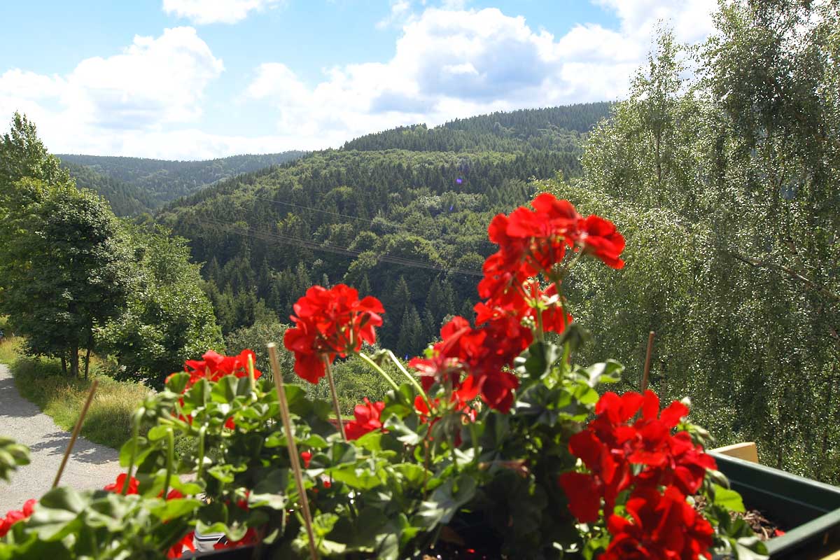 Toller Ausblick