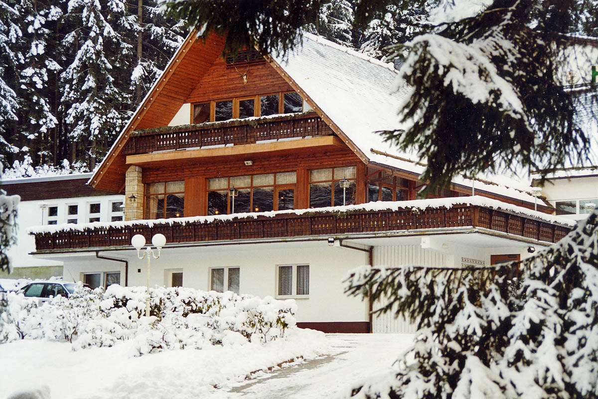 Waldhotel Ehrental, Schmalkalden - Winteransicht