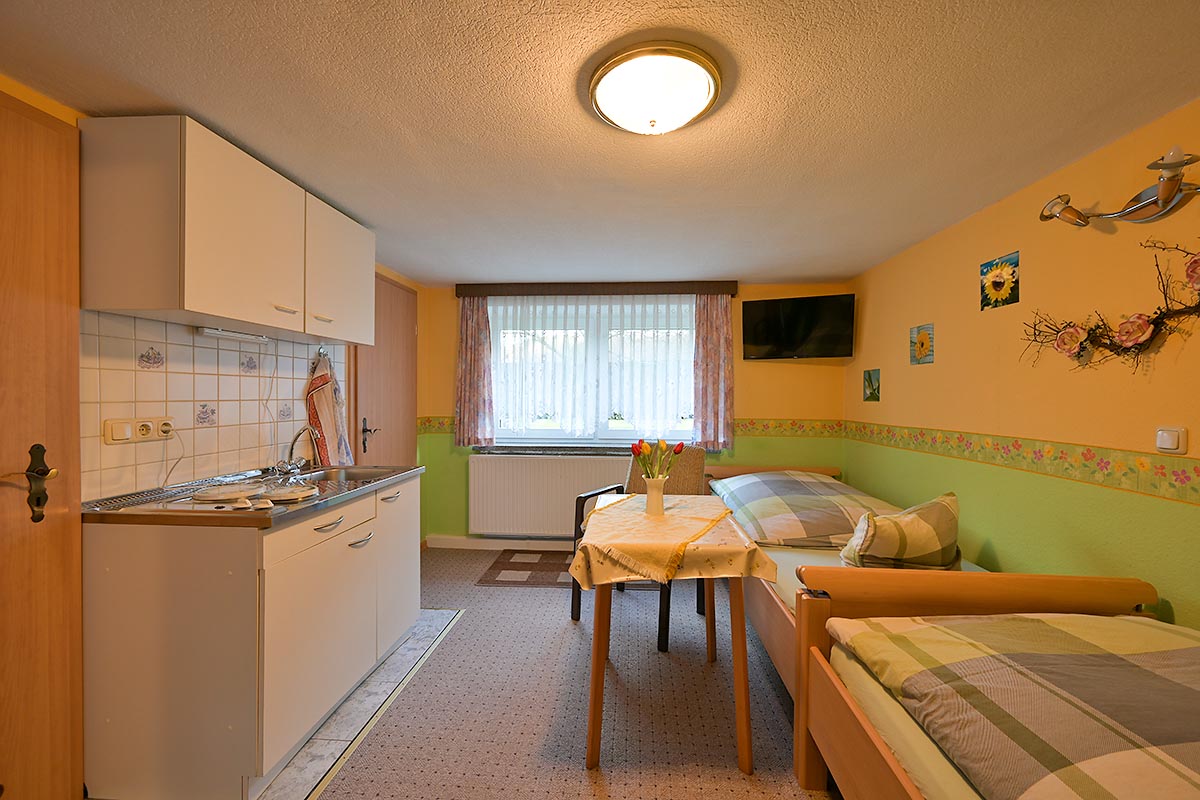 kleines Appartement (Küchenzeile)