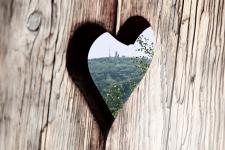 Blick auf den Inselsberg