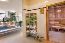 Sauna / Wellnessbereich