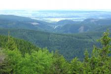 Impressionen vom Thüringer Wald