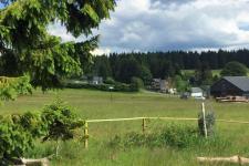 Blick auf Friedrichshöhe