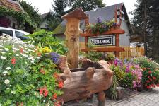 Blumenpracht vor dem Haus