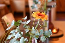 Blick in die Gaststätte