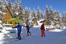 Finnhütten Am Brand, spechtsbrunn - Winteransicht