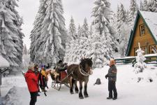 Pferdeschlitten auf dem Rennsteig