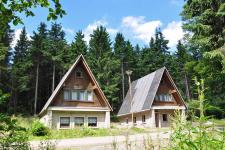 Ferienhäuser Ebertswiese im Sommer