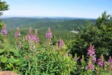 Landschaft unweit der Ferienhäuser
