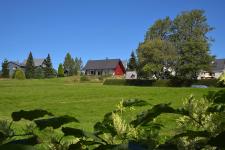 Bergwiese am Ferienhaus