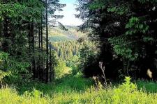 Blick auf das Hasenthal