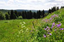 Ausblick direkt vom Ferienhaus