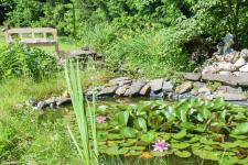 Gartenteich