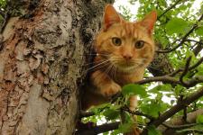 Auch Fritz freut sich auf Gäste