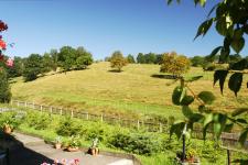 Blick in die Umgebung