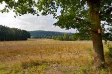 Landschaft am Ferienhaus