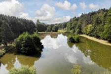 Angelteich in der Umgebung