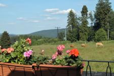 Blick von der Terrasse