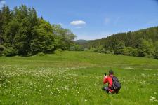 Landschaft im Vessertal