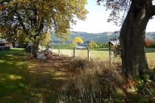 idyllisches Grundstück