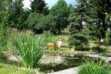 Garten mit Gartenteich