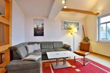 Ferienwohnung 1 Schneekopf (Wohnzimmer)