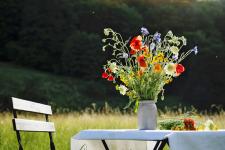 Herzlich willkommen.