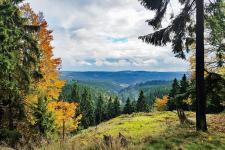 Landschaft bei Spechtsbrunn