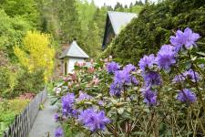 Blumenpracht auf dem Grundstück