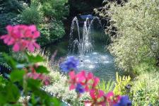 Blick zum Forellenteich