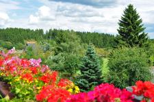 Ausblick in die Umgebung