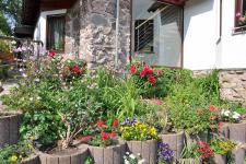 Blütenpracht vor dem Haus