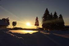 Sonnenstimmung am Rennsteig
