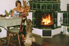 Blick in das Kaminzimmer