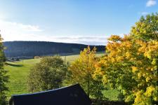 Blick aus einem Zimmer