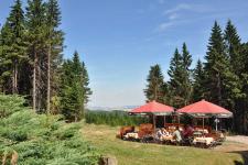 Terrasse / Biergarten