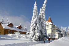 Apartments + Ferienhaus