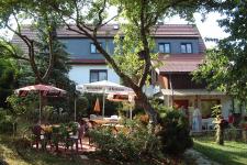 Blick in den Garten mit Terrasse