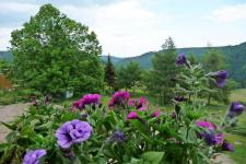 Gasthaus &amp; Pension &quot;Zum Hirsch&quot;