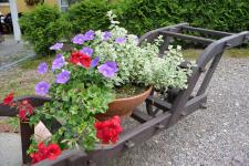 Gasthaus &amp; Pension &quot;Zum Hirsch&quot;