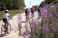 Radfahren am Rennsteig