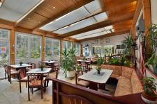 Blick in den Wintergarten